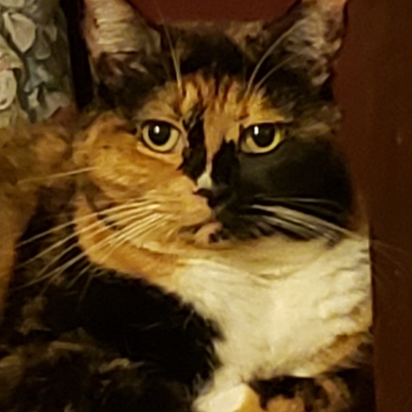 Meet your Posher, Michael - Picture 1 of 1